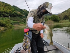 ブラックバスの釣果