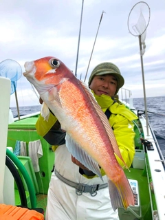 アマダイの釣果