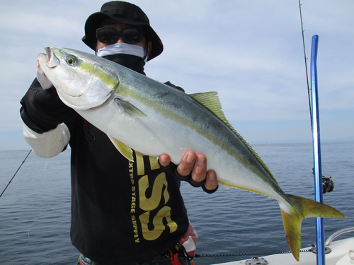 ワラサの釣果