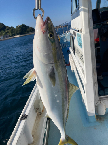 メジロの釣果