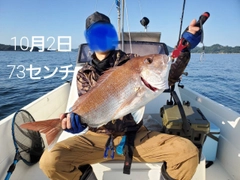 マダイの釣果