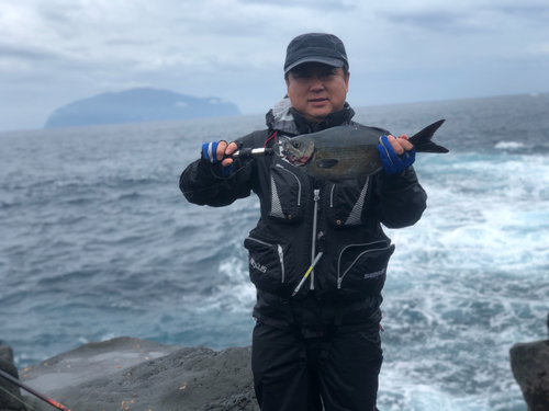 オナガグレの釣果