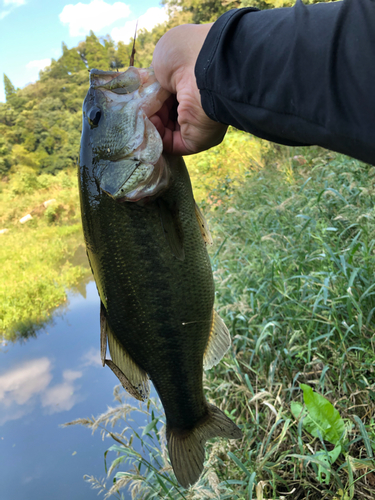 釣果