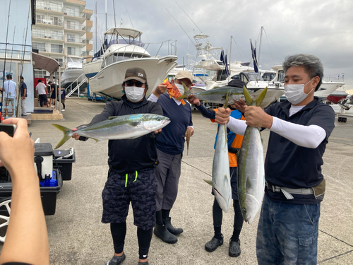 ワラサの釣果