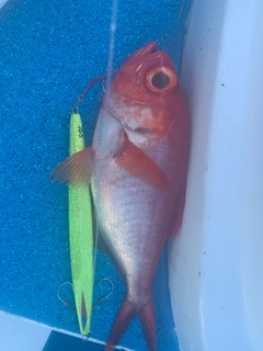 釣果