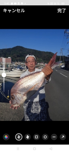 マダイの釣果