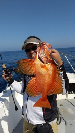 チカメキントキの釣果