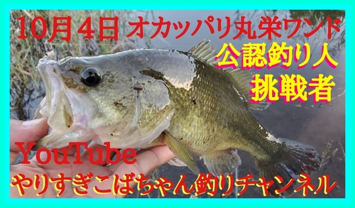 ラージマウスバスの釣果