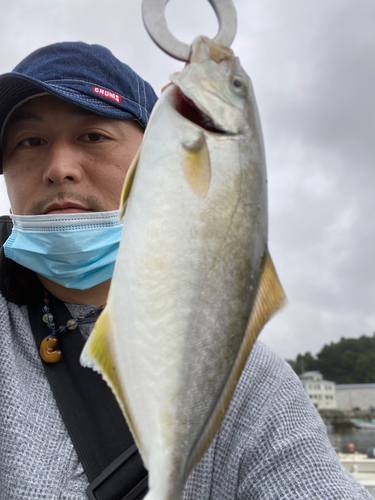 ショッコの釣果