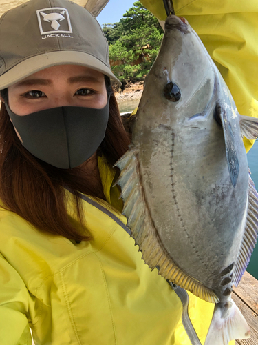 サンノジの釣果