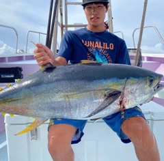 キハダマグロの釣果