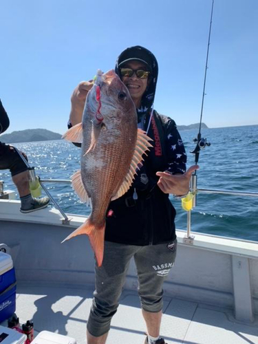 マダイの釣果