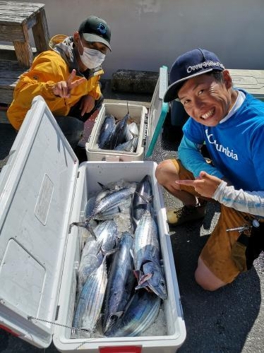 カツオの釣果