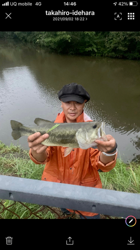 ブラックバスの釣果