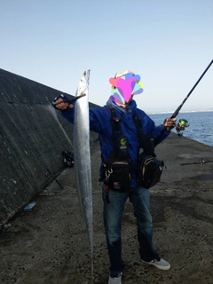 タチウオの釣果