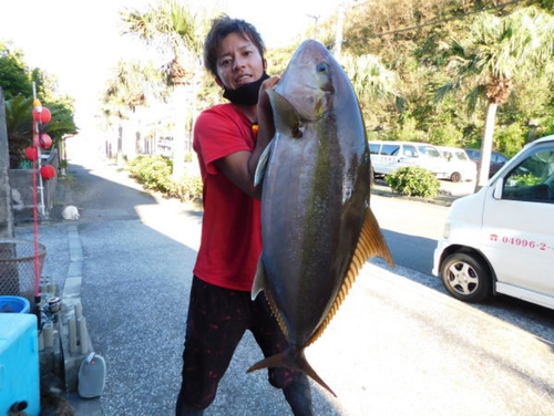 カンパチの釣果