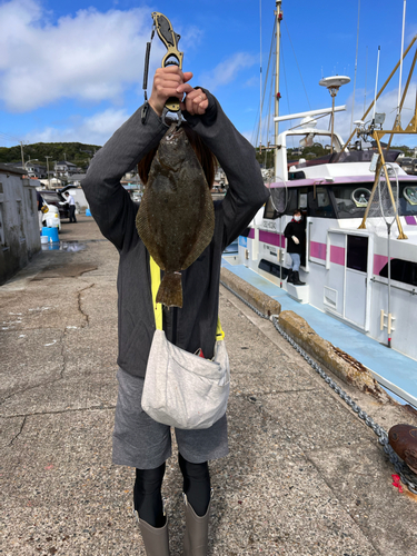 ヒラメの釣果