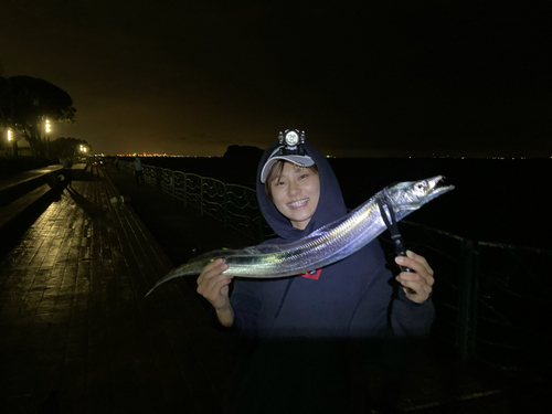 タチウオの釣果