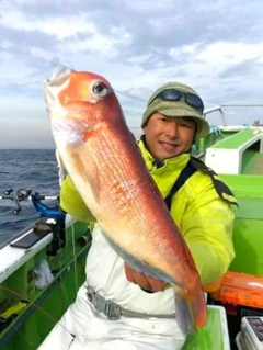 アマダイの釣果