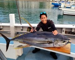 キハダマグロの釣果