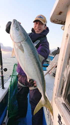 ブリの釣果