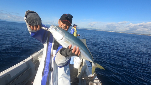 イナダの釣果