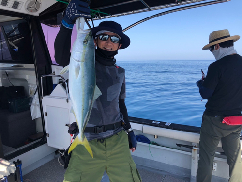 ヤズの釣果