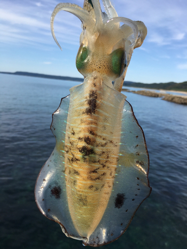 釣果