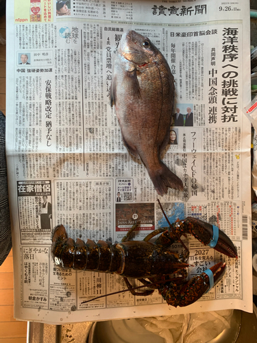 エビの釣果