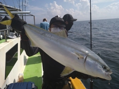 ワラサの釣果