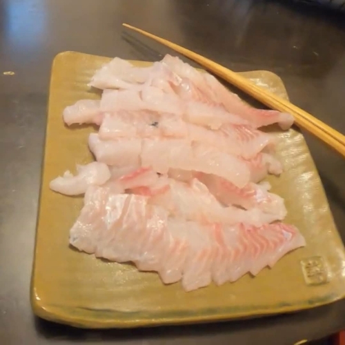 グレの釣果