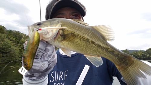 ブラックバスの釣果