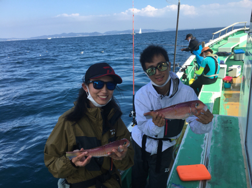 アマダイの釣果