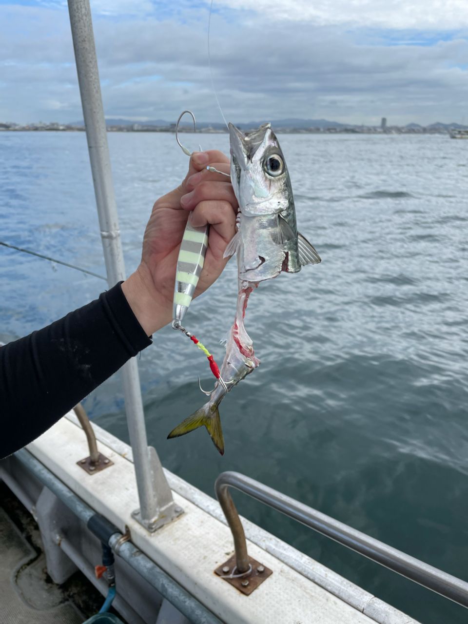 Y.F.Cのしんごさんの釣果 3枚目の画像