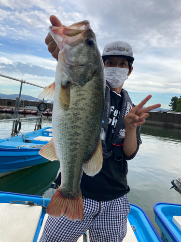 ブラックバスの釣果