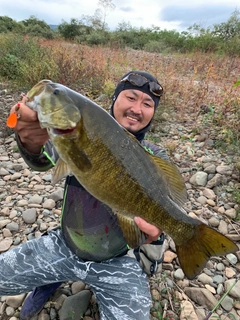 スモールマウスバスの釣果