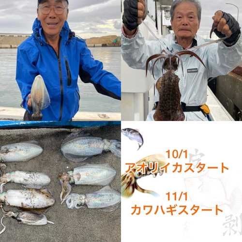 アオリイカの釣果