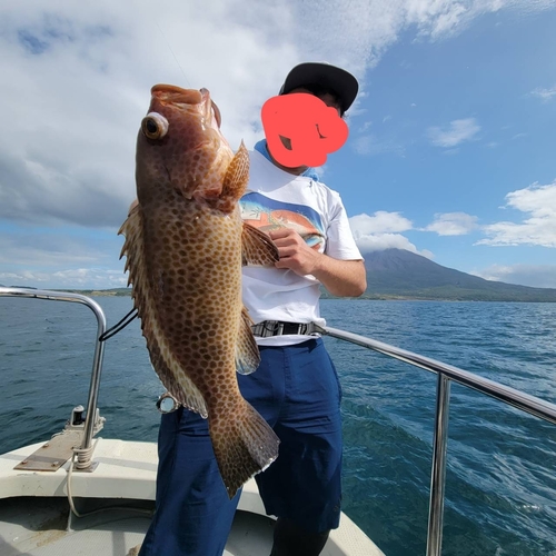 オオモンハタの釣果