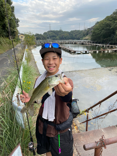 ブラックバスの釣果