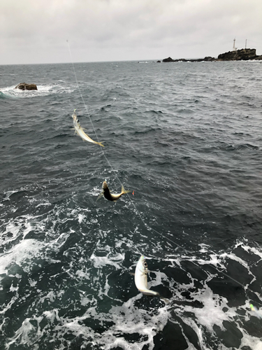 釣果