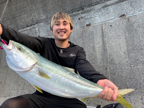 カンパチの釣果