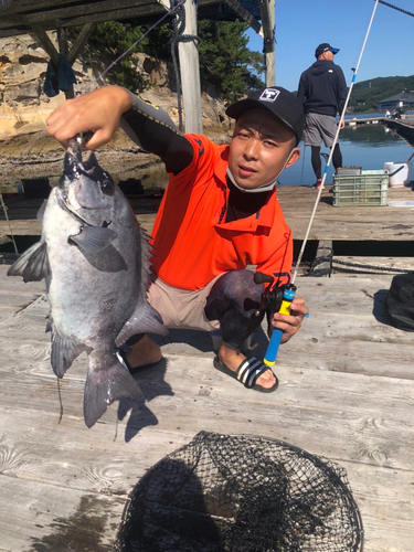 イシダイの釣果