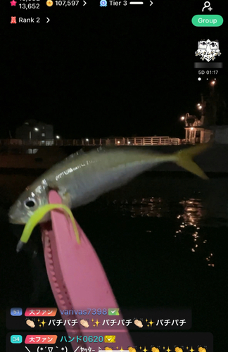 アジの釣果