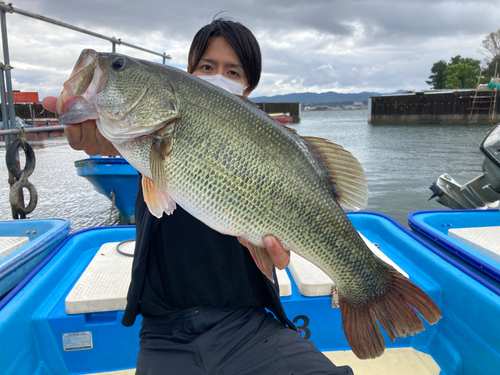 ブラックバスの釣果