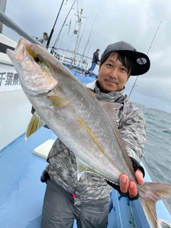 カンパチの釣果