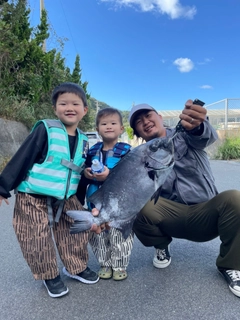 イシダイの釣果