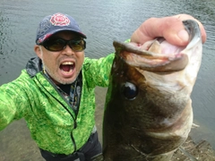 ブラックバスの釣果