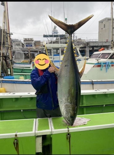 キハダマグロの釣果