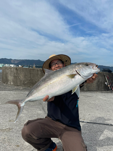 カンパチの釣果