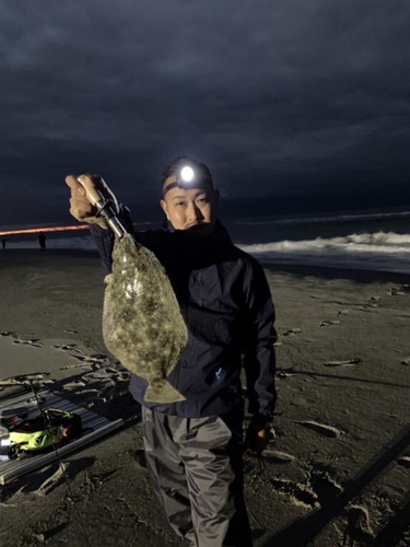 ヒラメの釣果